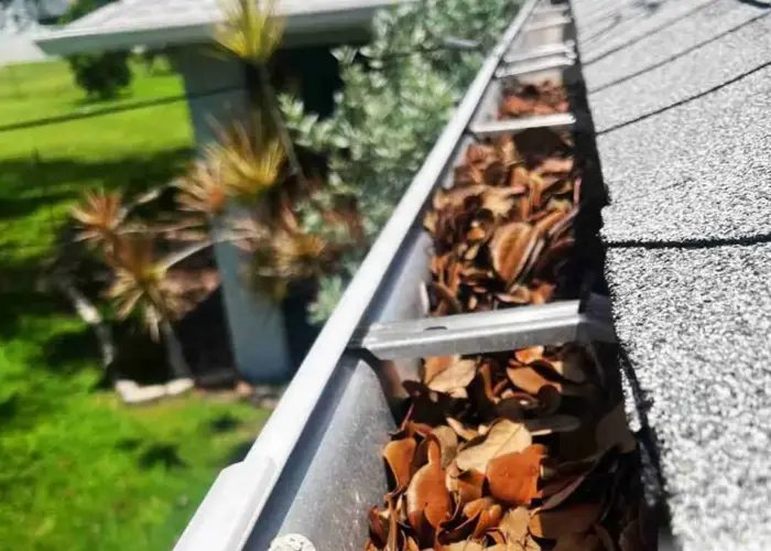 Waleska gutter cleaning home page